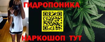 мяу мяу мука Кудымкар