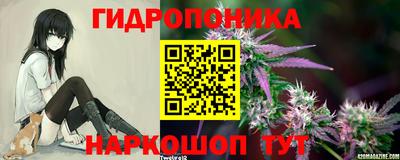 спайс Кудрово