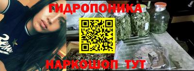 спайс Кудрово