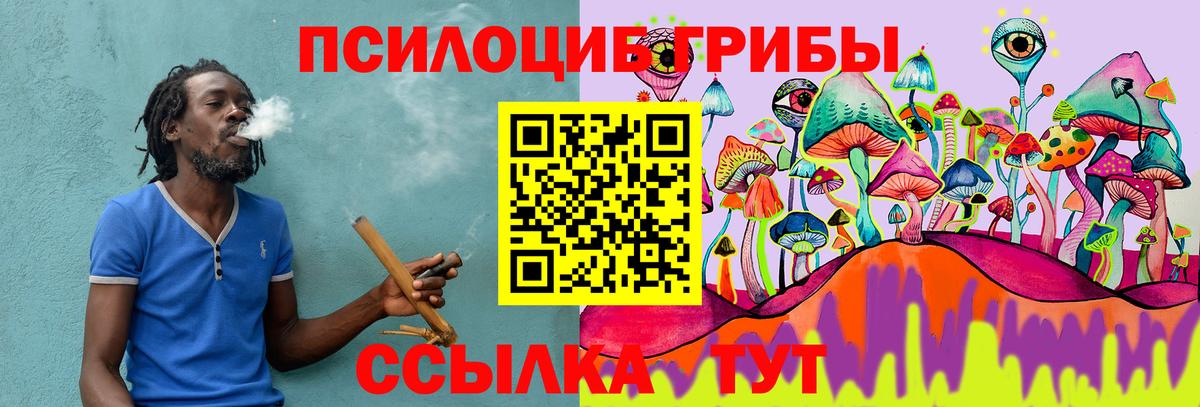 Всеволожск  Галлюциногенные грибы ЛСД  Вход с VPN  Псилоцибиновые грибы MAGIC MUSHROOMS 