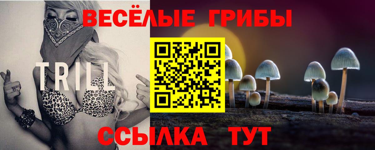 Псилоцибиновые грибы мухоморы Всеволожск
